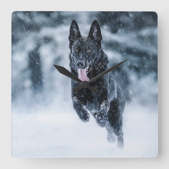 Horloge Carrée Black German Shepherd in snow Duvet Cover (Recto)