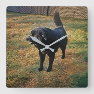 Horloge Carrée Black Lab Dans L'Horloge Du Mur Solaire Automne
