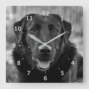 Horloge Carrée Black Labrador Photo Animaux de compagnie Chien Ca