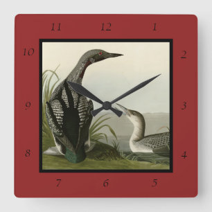Horloge Carrée Black-Throated Diver Loon Audubon Birds of America