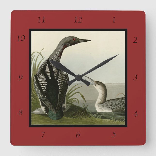 Horloge Carrée Black-Throated Diver Loon Audubon Birds of America (Recto)