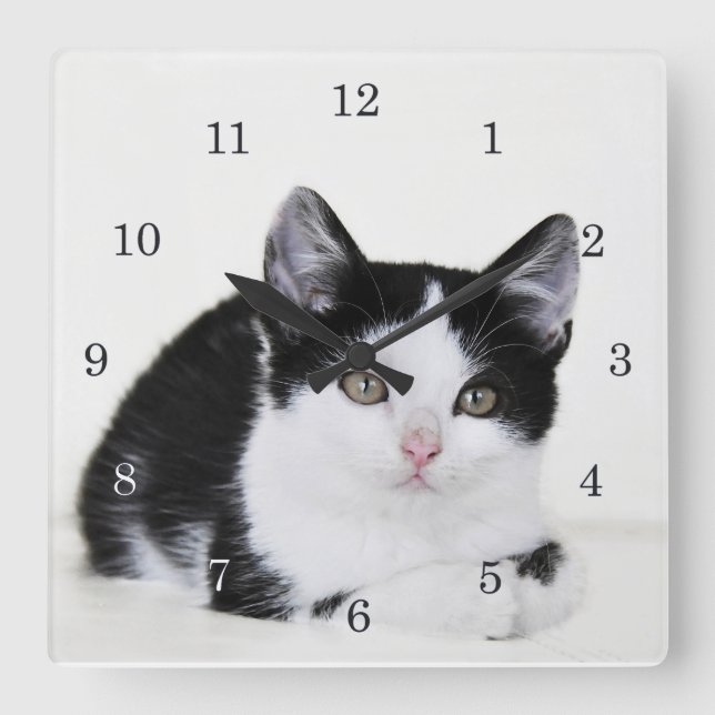 Horloge Carrée Black White Thoughtful Kitten Wall Clock (Recto)