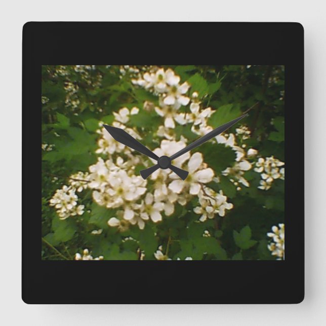 Horloge Carrée Blackberry Blossom (Recto)