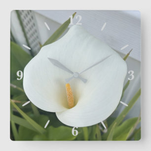 Horloge Carrée Blanc Calla Lily Jardin Fleur Jardin Photo