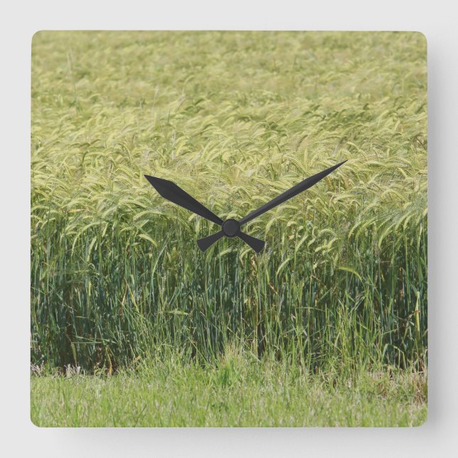 Horloge Carrée Blé - Savoureux ! (Recto)