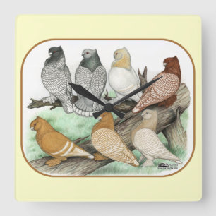 Horloge Carrée Blondinettes de pigeons de frill classique