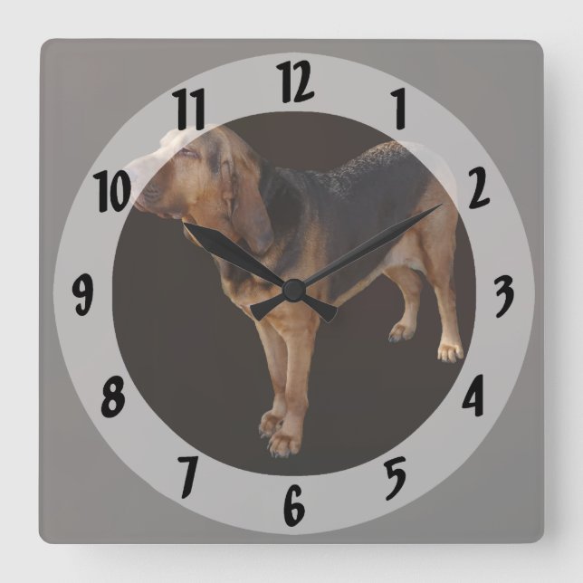 Horloge Carrée Bloodhound (Recto)
