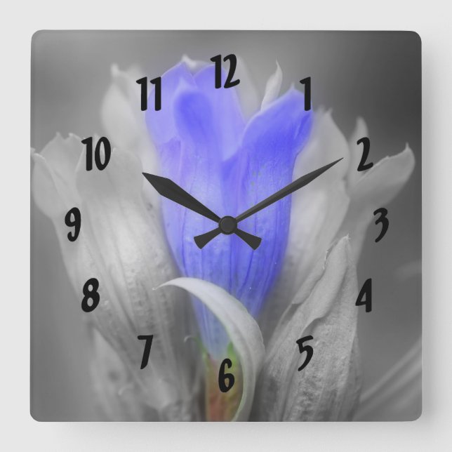 Horloge Carrée Blue Gentian Flower In Black and White (Recto)