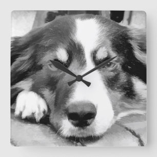 HORLOGE CARRÉE BORDER COLLIE