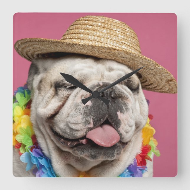 Horloge Carrée Bouledogue anglais (18 mois) portant une paille (Recto)