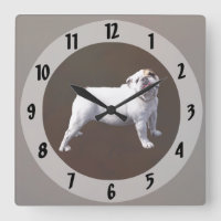 Bouledogue Fier
