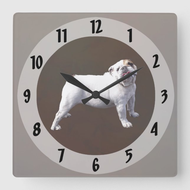 Horloge Carrée Bouledogue Fier (Recto)