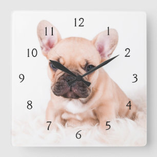 Horloge Carrée Bouledogue français
