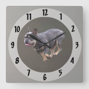 Horloge Carrée Bouledogue français en course
