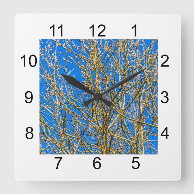 Horloge Carrée Bourgeons De Saule - Matin Du Printemps (Recto)