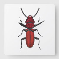 Bousier rouge