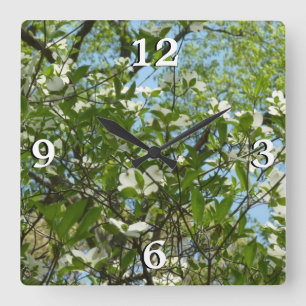 Horloge Carrée Branche of Dogwood Blossoms Spring Trees