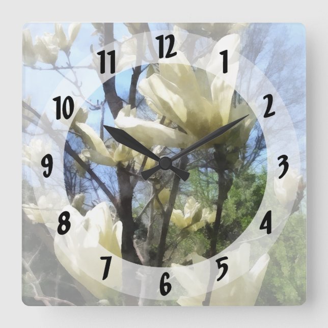 Horloge Carrée Branches blanches de Magnolia (Recto)
