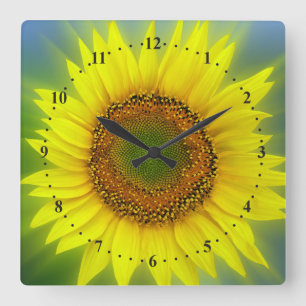 Horloge Carrée briflower