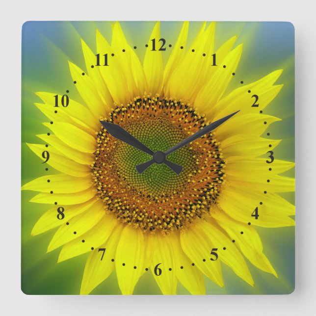 Horloge Carrée briflower (Recto)