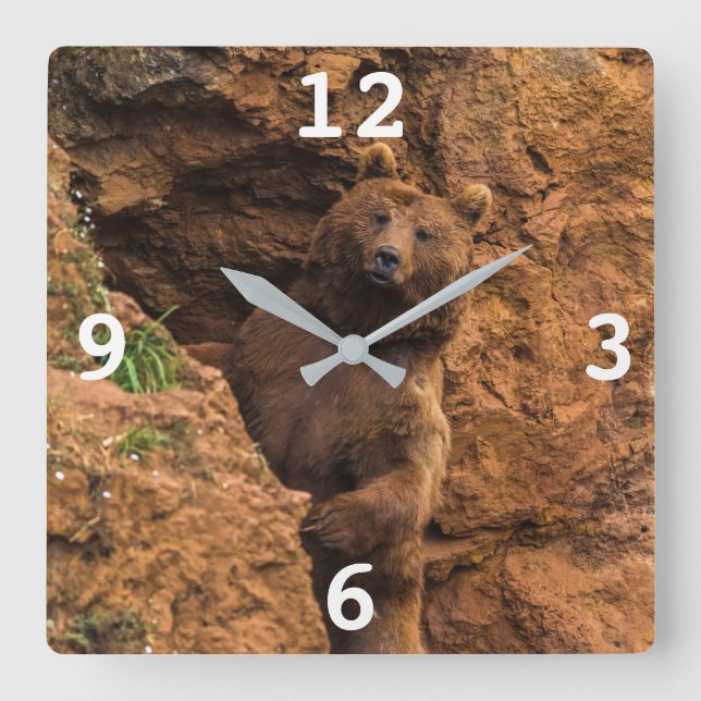 Horloge Carrée Brown Bear Square Wall Clock (Recto)