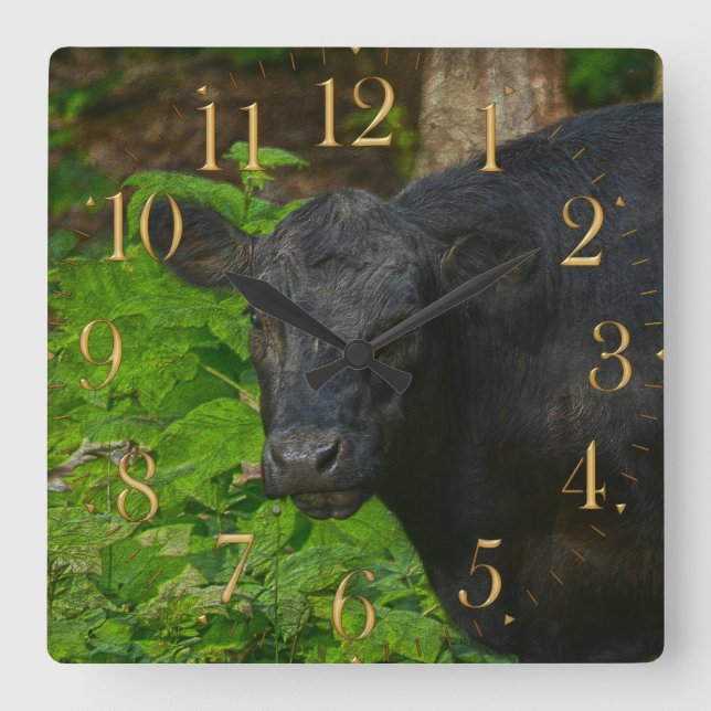 Horloge Carrée Brown Eyes - Steer and Forest Large Clock (Recto)