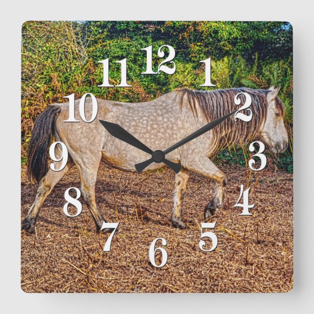 Horloge Carrée Bucskin Nouvelle Forêt Pony Faune (Recto)