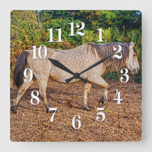 Horloge Carrée Bucskin Nouvelle Forêt Pony Faune