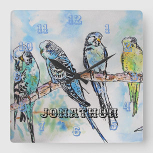 Horloge Carrée Budgies Budgie Budgerigar Bird Nom des hommes