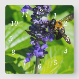 Horloge Carrée Bumblebebe Sur L'Horloge Murale De Salvia
