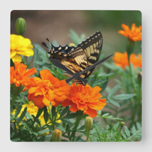 Horloge Carrée Butterfly on Orange and Yellow Flowers Wall Clock