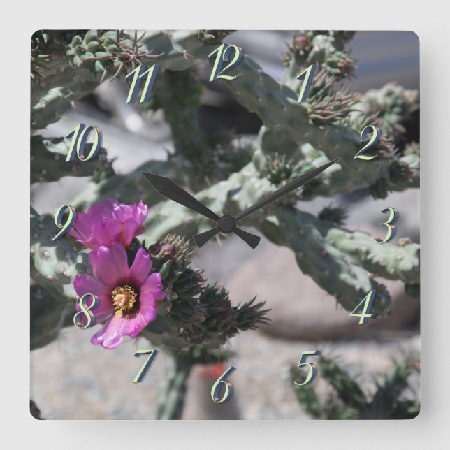 Horloge Carrée Cactus Challa en fleurs (Recto)
