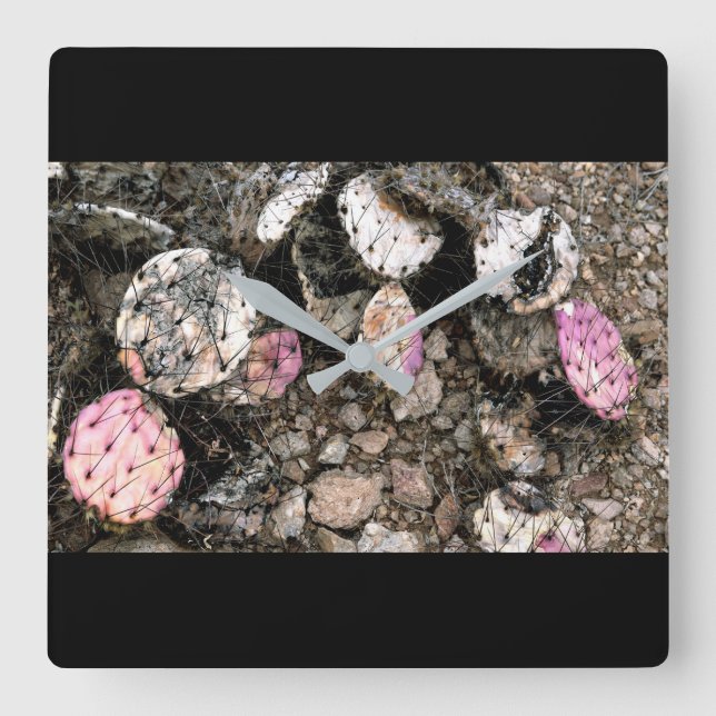 Horloge Carrée Cactus rose mort (Recto)