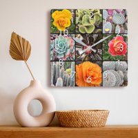 Cactus Succulents rose photo collage