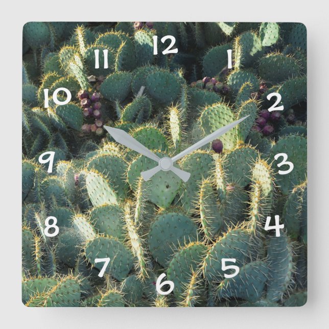 Horloge Carrée Cactus verts (Recto)