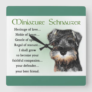 Horloge Carrée Cadeaux du patrimoine des chiots de Schnauzer mini