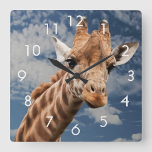 Horloge Carrée Cadran de l'horloge photo de girafe et de ciel ble