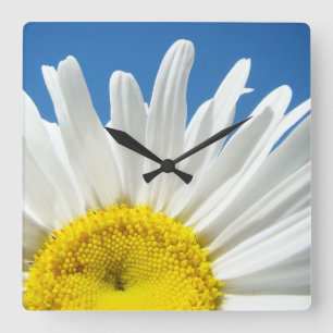Horloge Carrée Cadran de mur de fleur de marguerite Cadeaux Décor