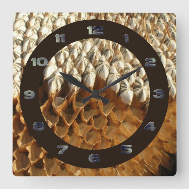 Horloge Carrée Cadran - Graines de tournesol avec cercle (Recto)