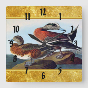 Horloge Carrée Canards Widgeon américains sur une roche