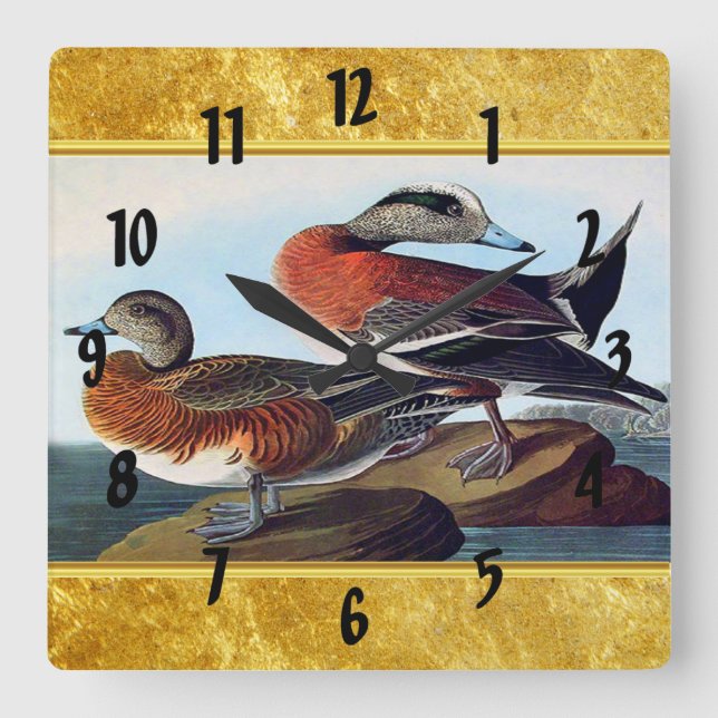 Horloge Carrée Canards Widgeon américains sur une roche (Recto)