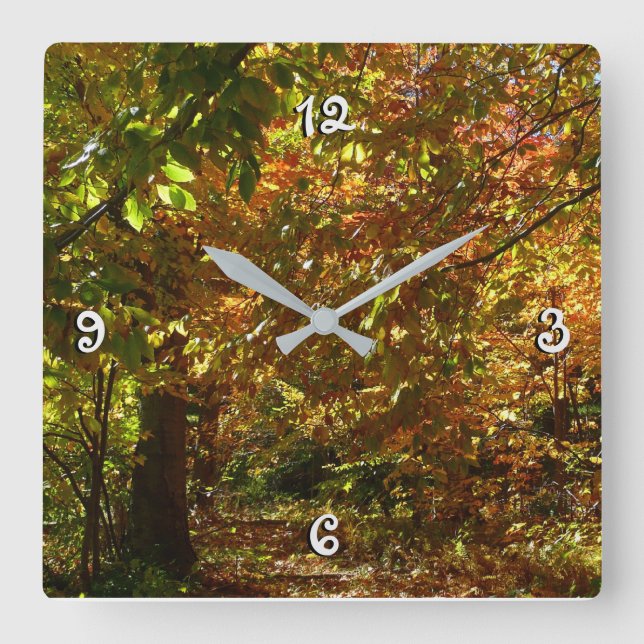 Horloge Carrée Canopée des Feuilles d'automne II Photographie d'a (Recto)