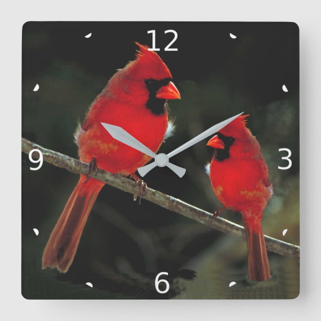 HORLOGE CARRÉE CARDINAL (Recto)