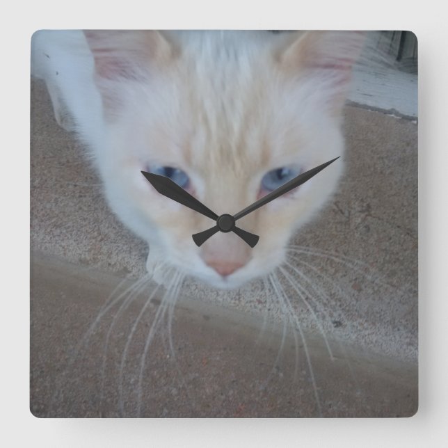 Horloge Carrée Cat Clock (Recto)