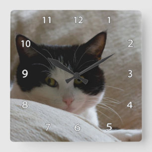 Horloge Carrée Cat Wall Clock