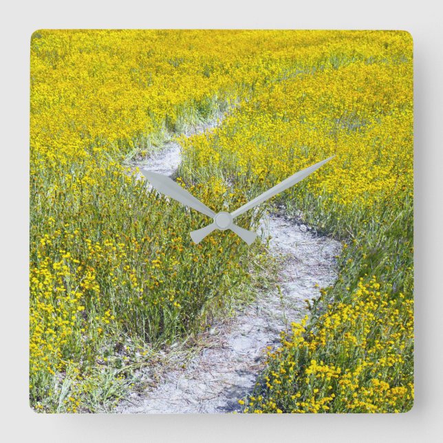 Horloge Carrée Champ Fleur sauvage jaune (Recto)