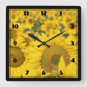 Horloge Carrée Champ jaune de tournesols photo
