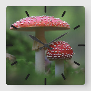 Horloge Carrée Champignons magiques
