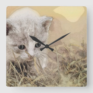 Horloge Carrée Chat, Animal De Compagnie, Mignonne