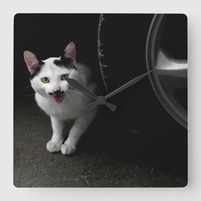Horloge Carrée Chat avec Moustache (Recto)